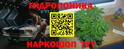 дживик Гатчина