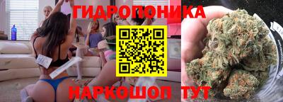 сатива Гусиноозёрск