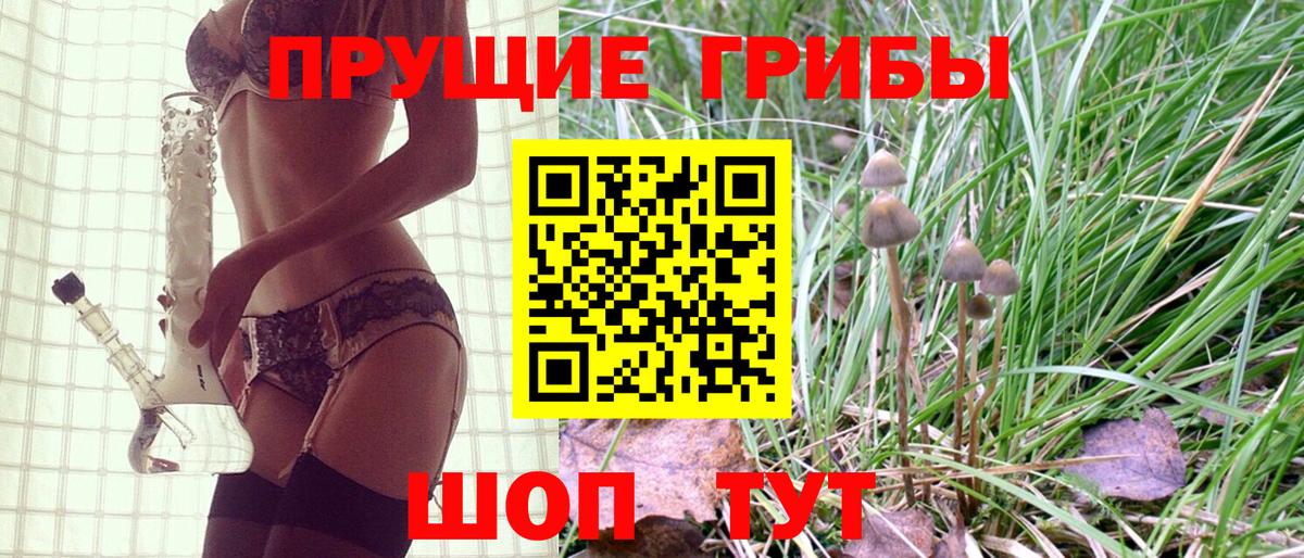 Ипатово  Галлюциногенные грибы GOLDEN TEACHER  Вход с VPN 